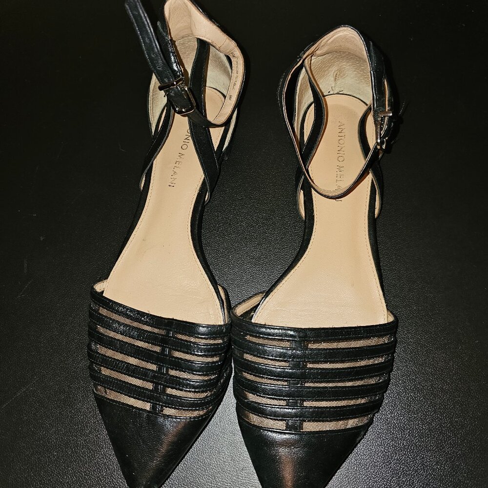 Pointy toed flats